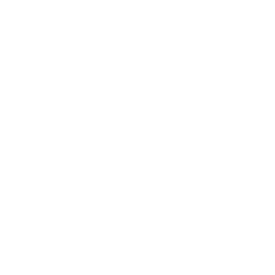 DJ BARFLY 